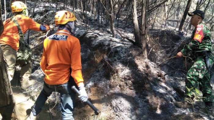 Tim Pemadam Kesulitan Padamkan Api karena Lereng Terjal dan Bebatuan
