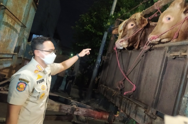 Pemkot Surabaya Perketat Pengawasan Distribusi Hewan Ternak di Perbatasan