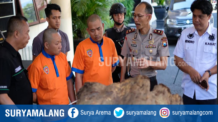 Warga Jombang Dibekuk Polres Batu Karena Angkut Kayu Curian dari Hutan Lindung Ngantang