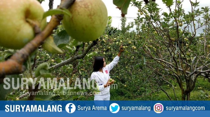 6 Kesalahan yang Dianggap Fakta, dan Sering Dipelajari di Sekolah, Mulai Bunglon sampai Kelelawar