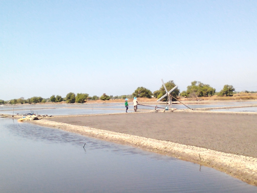 petani-tambak-garam-di-sidoarjo.jpg