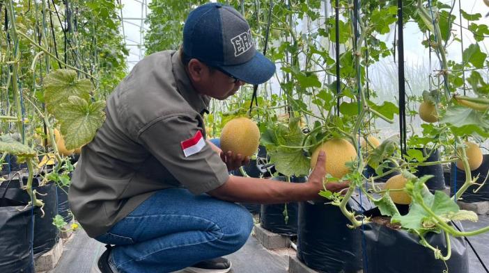 Green House Wisata Petik Melon, Perkuat Ketahanan Pangan Kota Kediri Lewat Sistem Urban Farming