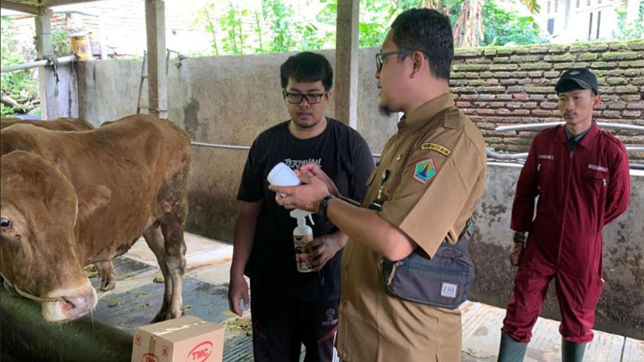 Antisipasi Penularan PMK di Kota Malang, Dispangtan Sosialisasi, RPH Tugu Aneka Usaha Ungkap Kondisi