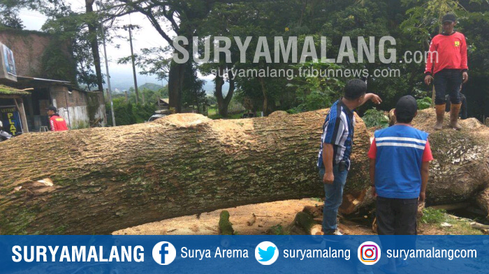 pohon-tumbang-di-desa-junrejo-kota-batu-kamis-14112017_20171214_162336.jpg