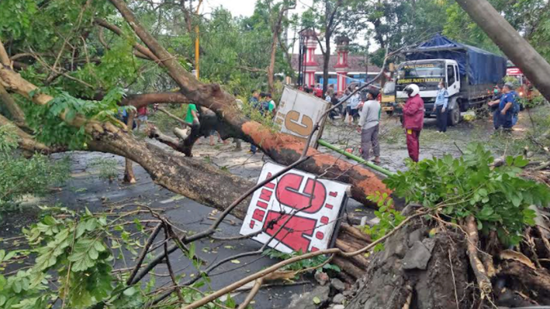 pohon-tumbang-di-jalan-nasional-kedungwaru-tulungagung.jpg