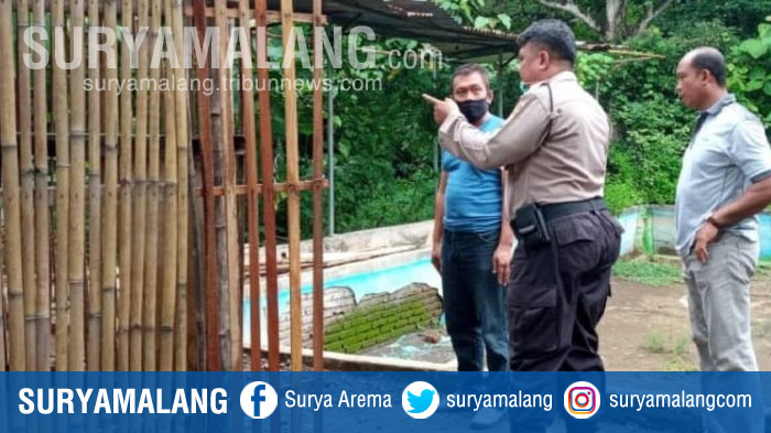 Gowes di Nganjuk, Pak Guru Kehilangan Ayam Bangkok Seharga Rp 7 Juta