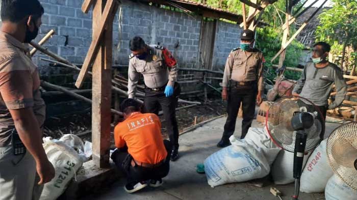 Perbaiki Lampu, Remaja 14 Tahun Tewas kesetrum di Kandang Sapi Nganjuk