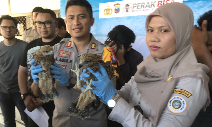 polres-pelabuhan-tanjung-perak-surabaya-menggagalkan-pengiriman-ratusan-satwa.jpg