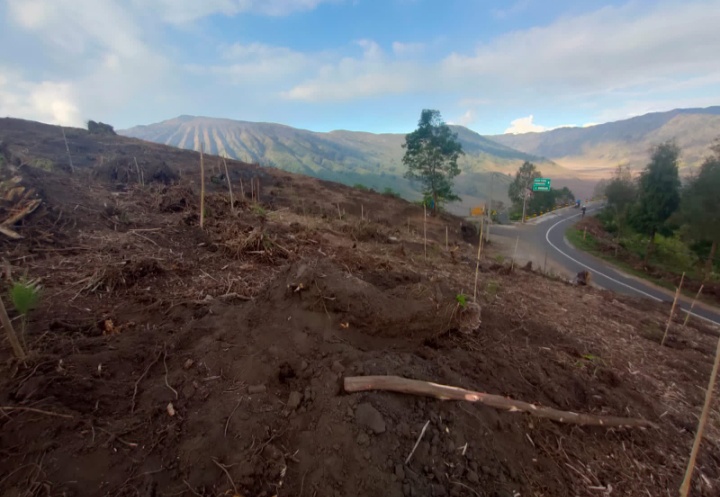 potret-lereng-di-area-tnbts-yang-mulai-gundul.jpg