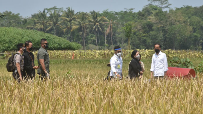 presiden-ri-joko-widodo-mengunjungi-desa-kanigoro-kecamatan-pagelaran-kabupaten-malang.jpg