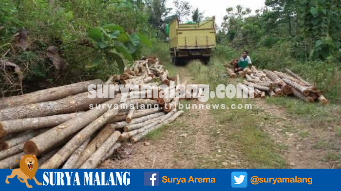 rebutan-lahan-dan-kayu-jati-di-blitar-warga-dan-perhutani-nyaris-bentrok_20161003_153446.jpg