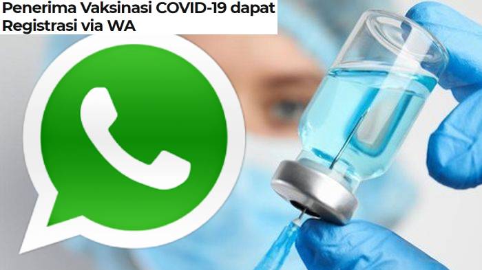 Nomor Whatsapp (WA) Untuk Registrasi Vaksinasi Covid-19, Cara Daftar & Konfirmasi Jika Belum Terdata