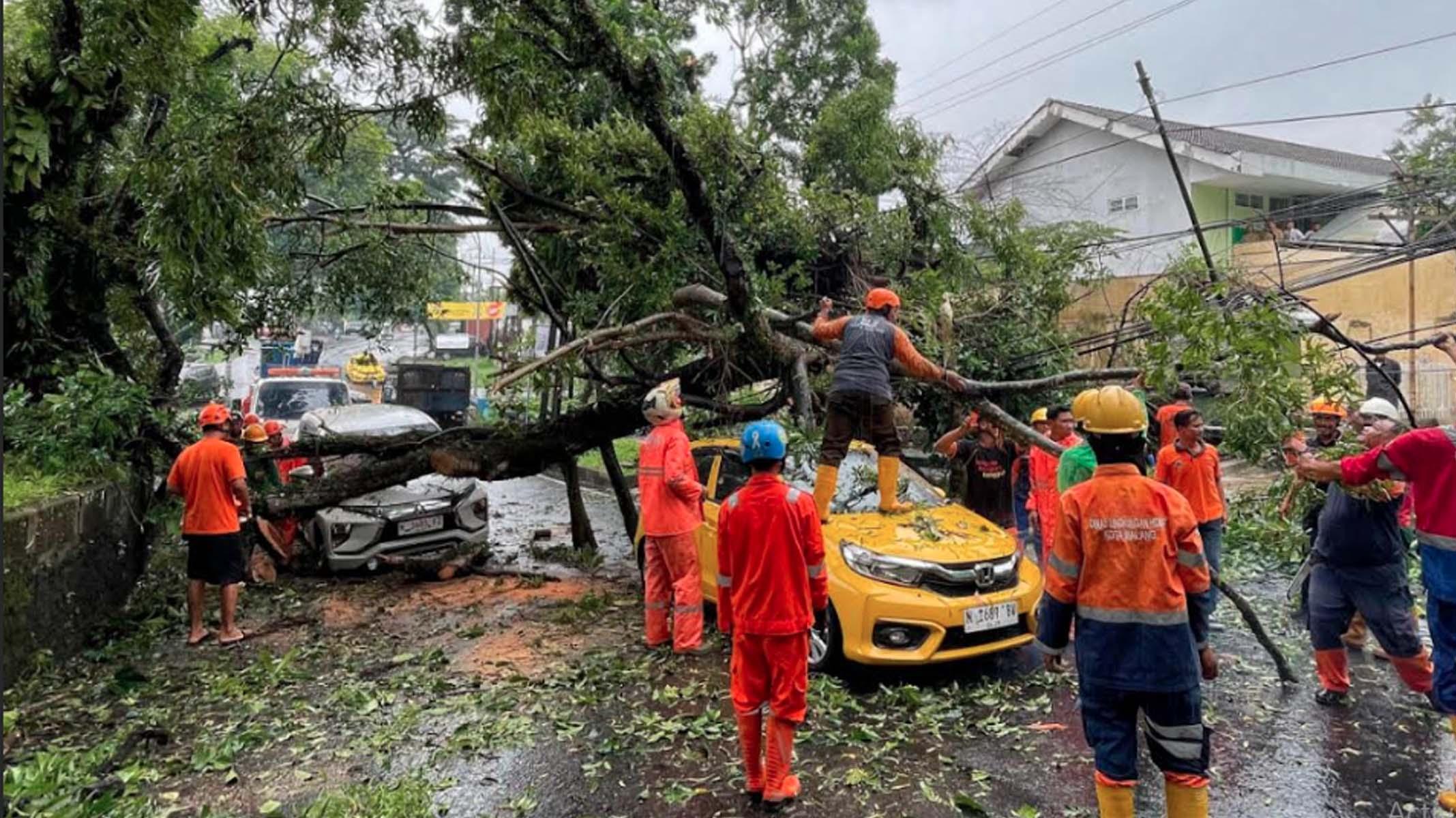 tertimpa-pohon-tumbang-Malang.jpg