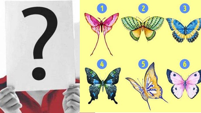 tes-kepribadian-gambar-pilih-tipe-kupu-kupu-yang-disuka-ungkap-karakter-aslimu-nomor-4-ambisius.jpg