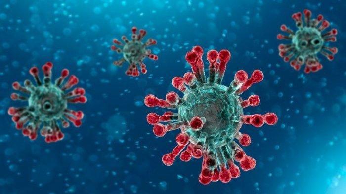 UPDATE Warga Positif Virus Corona di Kabupaten Nganjuk Mencapai 363 Orang