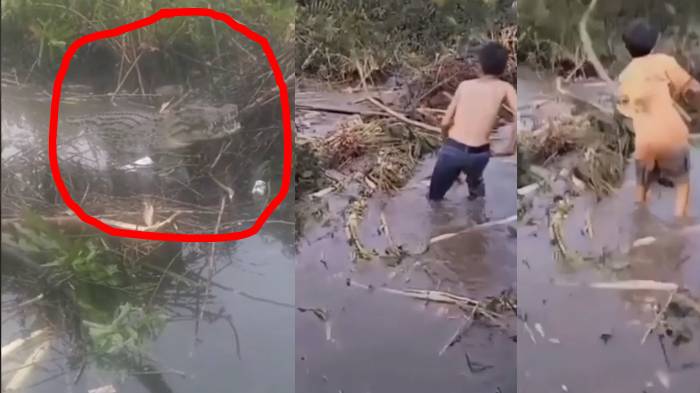 video-anak-anak-di-makassar-main-dengan-buaya-viral.jpg