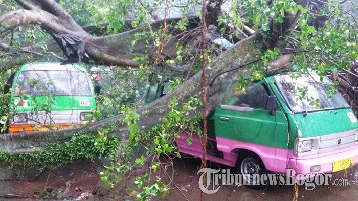 3 Video Puting Beliung di Bogor, Porak Porandakan Stasiun Hingga Timbulkan Korban Jiwa