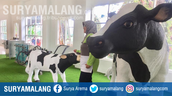 wisata-edukasi-susu-batu-wesb-di-jalan-ir-soekarno-desa-beji-kota-batu.jpg