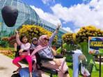 3-Spot-Foto-Instagrammable-di-Malang-Dijamin-Bagus-Banget-Ada-Omah-Kayu.jpg