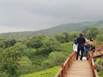 5-Rekomendasi-Wisata-Menarik-di-Malang-Cocok-Untuk-Healing-Bersama-Teman.jpg