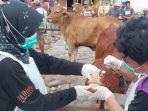 DKPP-Kabupaten-Kediri-saat-periksa-hewan-ternak.jpg