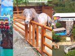 Daftar-Wahana-Predator-Fun-Park-di-Malang-Raya-Ada-Atraksi-Satwa-Seru-Harga-Tiket-Terjangkau.jpg