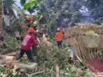 BPBD Kota Blitar Mencatat Ada 7 Rumah Rusak dan Belasan Pohon Tumbang Akibat Angin Kencang