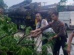 Dua-orang-tertimpa-pohon-tumbang-Jalan-Raya-Duduksampeyan-Gresik.jpg