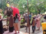 Gajah-KBS.jpg