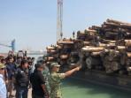 Illegal-Logging-Gresik.jpg