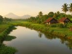 Inilah-13-Desa-di-Kabupaten-Pelalawan-Riau-Terima-Dana-Desa-2025-Tertinggi-Tembus-Rp24-Miliar.jpg