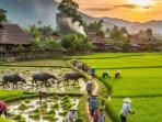 Inilah-8-Desa-di-Kabupaten-Manggarai-Timur-NTT-Terima-Dana-Desa-2025-Tertinggi-sampai-Rp12-Miliar.jpg