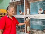 Muhammad-Kusolihudin-breeder-Merpati-Hias-Impor-di-Kota-Malang.jpg