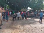 Pasar-hewan-Tertek-Kediri-masih-jual.jpg