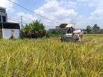 Upaya Lindungi Lahan Sawah Agar Tidak Alih Fungsi, DKPP Kota Blitar Usulkan Ranperda