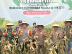 Polres-Blitar-panen-raya-jagung-di-lahan-binaan-seluas-29-hektar-di-Garum-dan-Panggungrejo.jpg