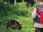 Polres-Magetan-melibatkan-anjing-pelacak-saat-olah-TKP-pembobolan-ATM.jpg