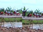 Viral-Siswa-SD-Seberangi-Jembatan-Miring-Reyot-Demi-Ke-Sekolah-Lapor-ke-PUPR-Tapi-Belum-Ditanggapi.jpg