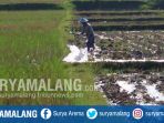 BMKG Malang Berharap Masyarakat Bijak Gunakan Air