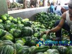 berita-malang-buah-blewah-melimpah_20160610_212525.jpg