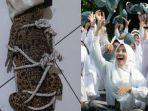 berita-malang-populer-hari-ini-misteri-buaya-jatuh-menimpa-genteng-rumah-subsidi-spp-akan-cair.jpg