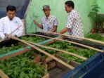 bibit-cabai-dari-balai-penelitian-tanaman-jeruk-dan-buah-sub-tropik-kepada-mwc-nu-blimbing_20170428_182752.jpg