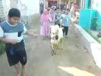 Bocah di Bangkalan Madura Pecah Celengan untuk Beli Kambing Kurban, Hasil Tabungan Uang Saku Sekolah