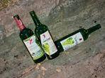 botol-minuman-keras-di-Eks-Stasiun-PJKA-Tapsiun-Jalan-Trunojoyo-Pamekasan.jpg
