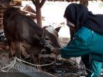 desa-gading-kulon-kecamatan-dau-kabupaten-malang.jpg
