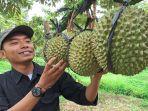 durian-musang-King-Malang.jpg