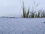 frost-embun-yang-membeku-di-kawasan-balai-besar-taman-nasional-bromo-tengger-semeru.jpg