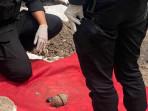 Benda Misterius Diduga Granat Ditemukan Tukang Bangunan di Kecamatan Paciran Lamongan