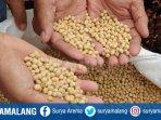 ilustrasi-harga-kedelai-tempe-tahu.jpg