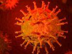 ilustrasi-virus-corona-atau-covid-19-3d.jpg